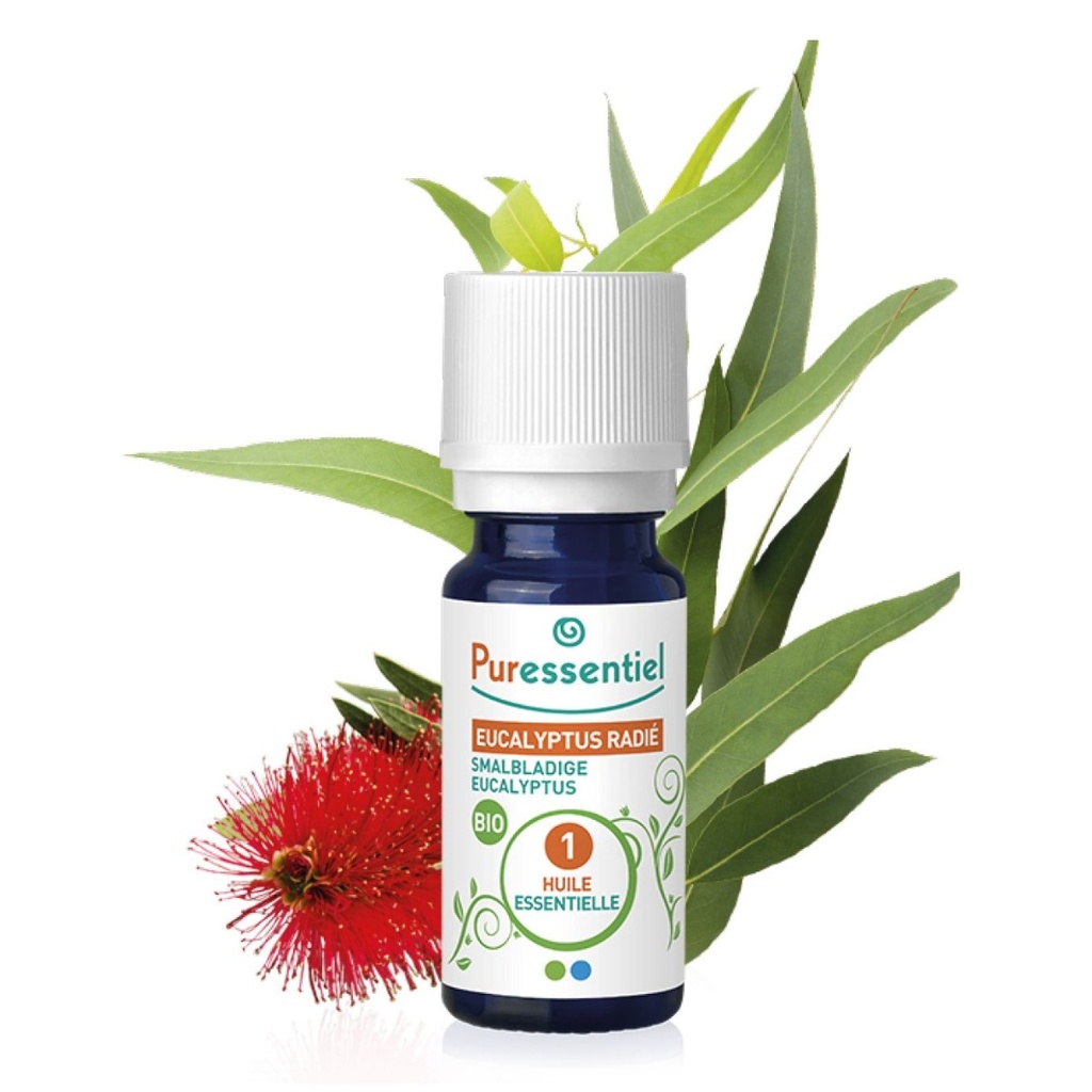 PURESSENTIEL Huille Essentielle Eucalyptus Radié BIO 100 % Pure et Naturelle - 10ml