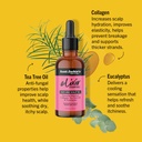 AUNT JACKIE'S Elixir Essentials Collagen & Tea Tree Hair & Scalp Oil - Huile capillaire légère hydratante apaisante pour tous types de cheveux - 59ml