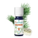PURESSENTIEL huile-essentielle-bio-arbre-a-the-prsd52-hebe09