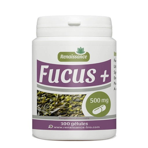 GPH Diffusion Fucus - Complément alimentaire Coupe-faim / Minceur